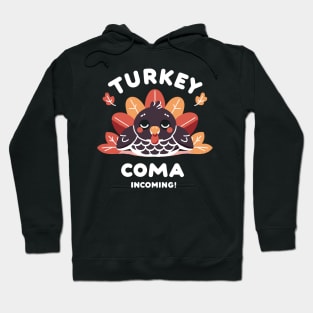 Turkey Coma Incoming! Hoodie